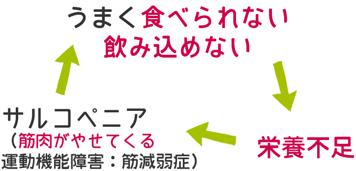 上手く飲み込めず、栄養不足に。やがて筋肉がやせ、悪循環に