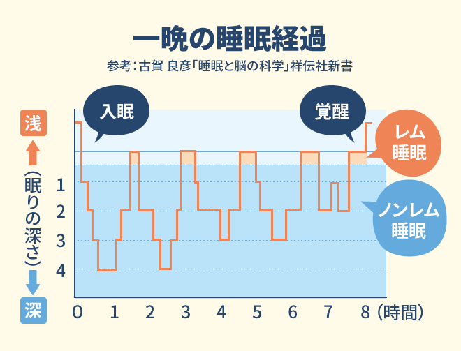 一晩の睡眠経過
