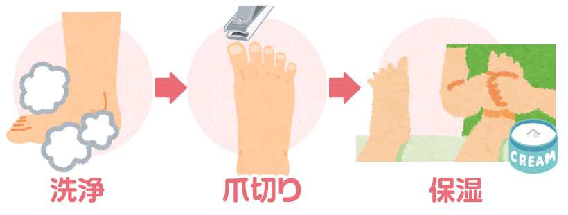 洗浄→爪切り→保湿